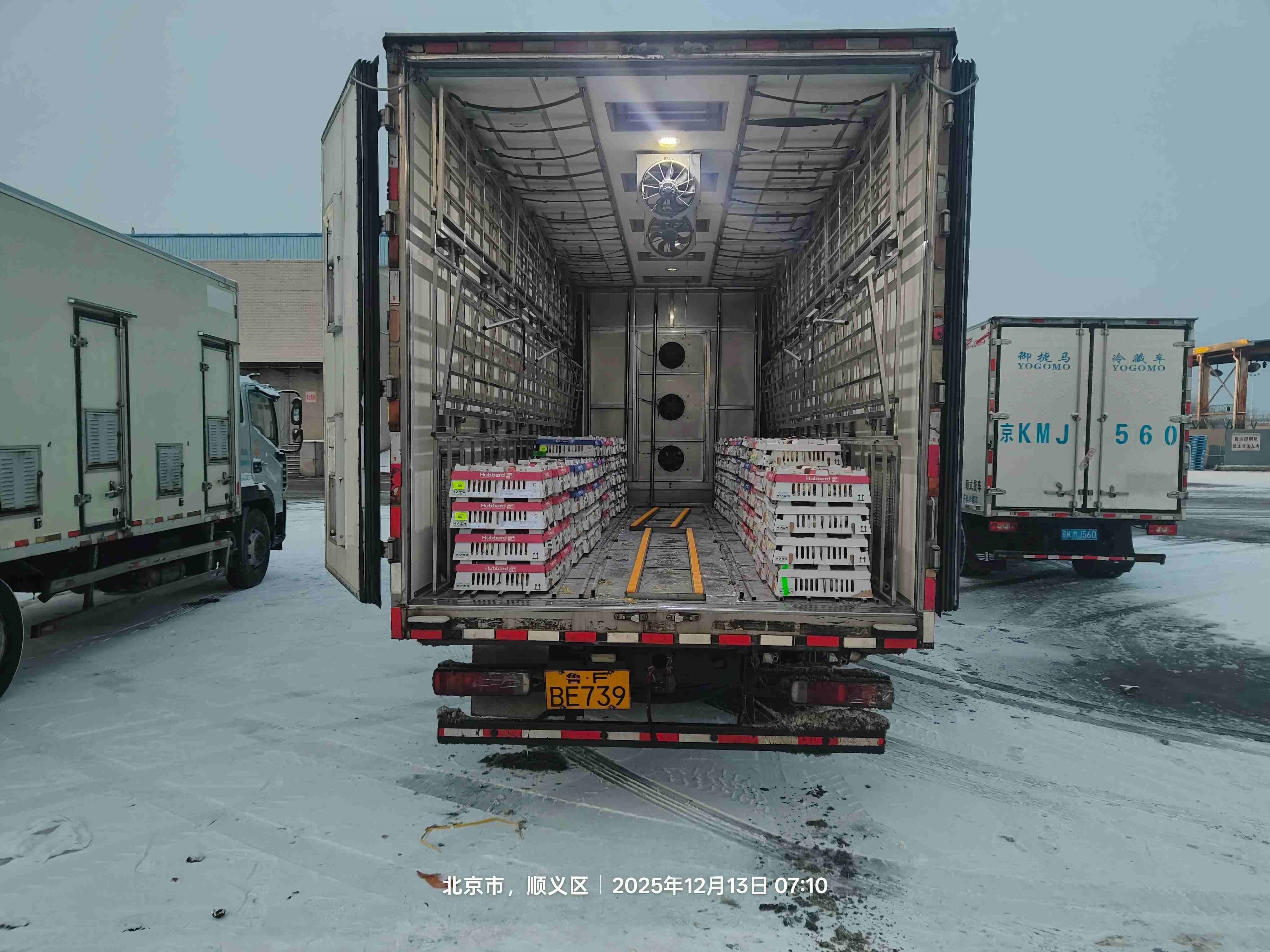 微信图片_20251213131736(1).jpg 微信图片_20251213131736(1).jpg